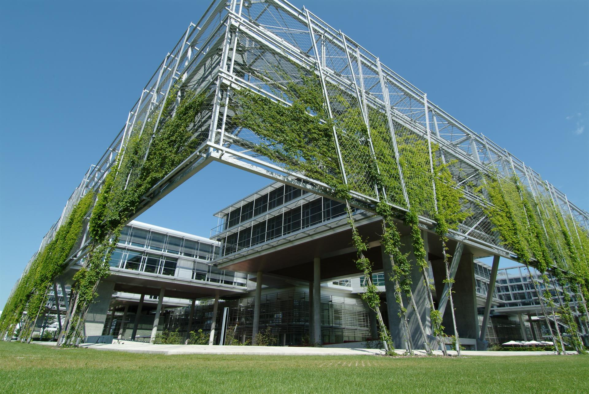 Schwebende Hecke in Unterföhring von May Landschaftsbau